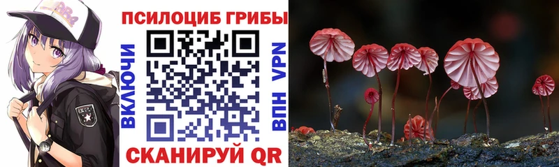 Галлюциногенные грибы Cubensis  Киреевск 
